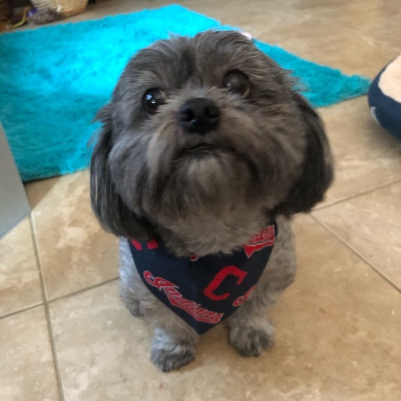 🌸🌸Meet your Posher, Sandra Lee🌸🌸💕. - Picture 7 of 16